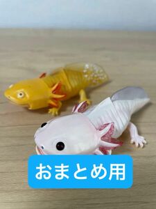 メキシコサラマンダー（ピンク、ゴールデン）　いきもの大図鑑レプティ　サンショウウオ　バンダイ　生き物　昆虫　フィギュア　ガチャ