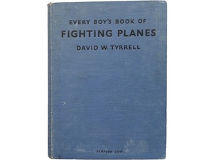 洋書◆戦闘機写真集 本 ミリタリー 飛行機 デビッド・ティレル