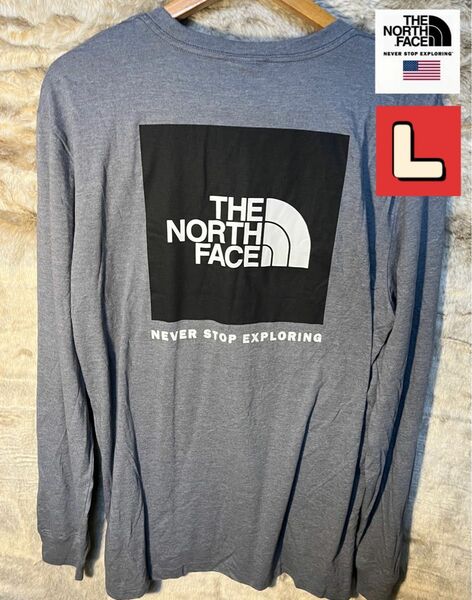 THE NORTH FACE ザノースフェイス 長袖Tシャツ ロンT グレー系