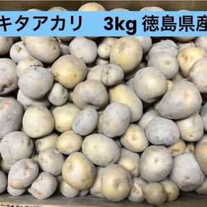 新じゃがいもキタアカリ3kgSSサイズ以下　徳島県産