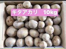 新じゃがいもキタアカリ10kg 50g前後　徳島県産　栽培中農薬不使用です_画像1