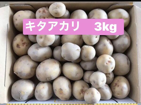 新じゃがいもキタアカリ3kg 50g前後　徳島県産　栽培中農薬不使用です