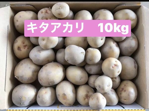 新じゃがいもキタアカリ10kg 約30〜50g 徳島県産　栽培中農薬不使用です
