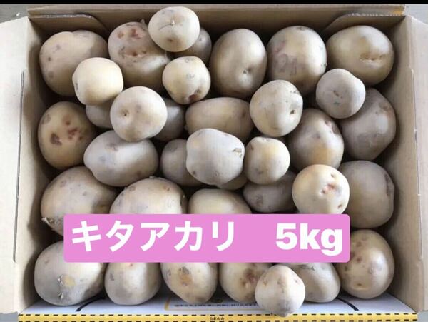 新じゃがいもキタアカリ5kg 50g前後　徳島県産　栽培中農薬不使用です