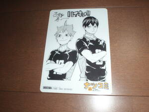 ハイキュー！！ 集英社 ナツコミ 2019 サイン色紙風 ミニ下敷き 書店 特典 古舘春一 イラストカード 少年ジャンプ TV アニメ化