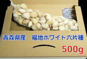 令和5年度　青森県産　500g　にんにく福地ホワイト