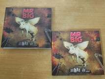 CDk-8379＜帯付 / CD+DVD＞MR.BIG / ホワットトイフ・・~DVD付き限定盤_画像3