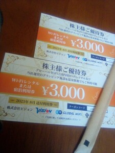 【コード通知にて発送】株式会社ビジョン　株主優待３０００円券２枚セット　申込み有効期限２０２４年８月３１日