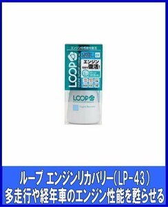 シュアラスターSurLuster エンジンオイル添加剤　振動・音・オイル上り軽減　LP-43　