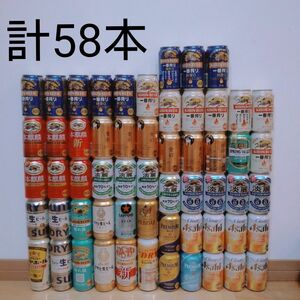 ビールお酒詰め合わせ 58本セット☆本麒麟 一番搾り 晴れ風 クリアアサヒ 淡麗 プレミアムモルツ エビス マルエフ