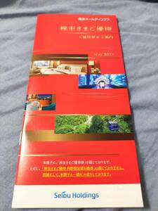 最新　SEIBU 西武ホールディングス　西武鉄道 株主優待 冊子（1000株以上用）１冊 ネコポス 送料無料　2024/11/30まで