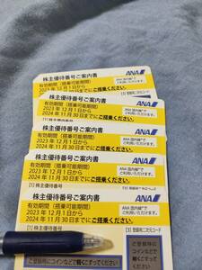 ANA all day empty stockholder complimentary ticket ×5 sheets 2024/11/30 till 