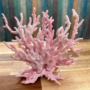 水槽レイアウト　オーナメント枝サンゴ　　模型サンゴ