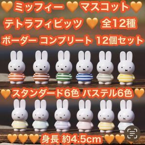 新品 miffy ミッフィー テトラフィビッツ 12個セット ボーダー 全12種 コンプリート マスコット フィギュア 全12色 可愛い 身長約4.5cm