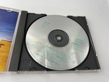 ドクター・シーゲルのフライド・エッグ・マシーン　CD　フライド・エッグ　2H32-05: 中古_画像2