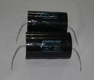 ネットワークコンデンサー １００μF オーディンキャップ/Audyn Cap ２個