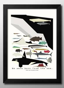 14882■送料無料!!アートポスター　絵画　A3サイズ『海洋生物　魚　クジラ　図鑑　海洋学』イラスト　北欧　マット紙