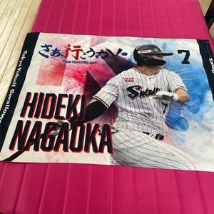 ヤクルトスワローズ 長岡秀樹 ブランケット