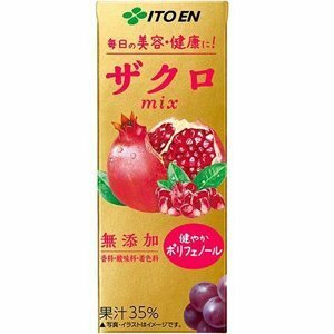 【48本セット】 伊藤園 エコパック ザクロmix 紙パック 200ml　フルーツジュース