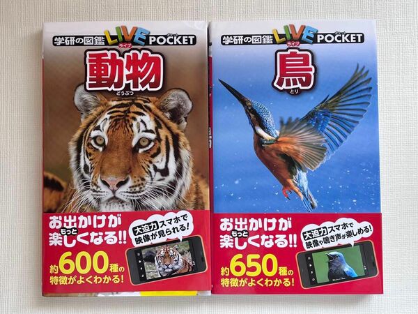 学研の図鑑　ポケット　動物&鳥　2冊まとめ売り