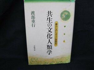 共生の文化人類学　位のトポスと経験知　渡部重行　学陽書房　シミ有/カバー切れ有/UCM