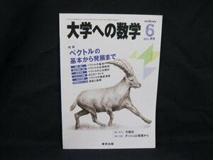 大学への数学 2013.6月号 特集 ベクトルの基本から発展まで　東京出版　シミ有/角折れ有/UCY