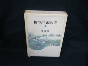 樹の声 海の声　上　辻邦生　朝日新聞社　シミ有/ケース傷み有/UCZH