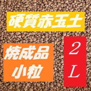 硬質赤玉土　小粒　２L（リットル）　焼成品　８００〜９００℃処理　挿し木　種まき　園芸　ビオトープ　【新品　在庫複数あります】