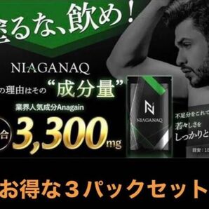 【Anagain(アナゲイン) x ノコギリヤシ】NIAGANAQ男性向けサプリメント3個セット 60粒x3 3ヶ月分