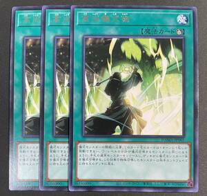 遊戯王 高尚儀式術 レア 字レア 3枚 DAMA-JP065