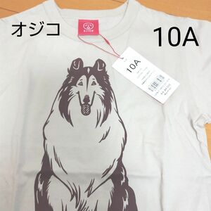 新品 キッズ オジコ 半袖Tシャツ 10A