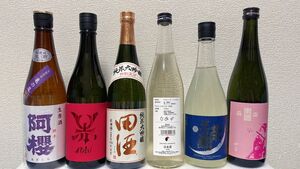 田酒　仙禽　光栄菊　赤武　楽器正宗　阿桜 飲み比べ 日本酒セット 720ml