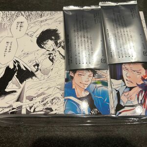 天野明展　リボーン　雲雀恭弥　アートボード　特典　山本武　XANXUS