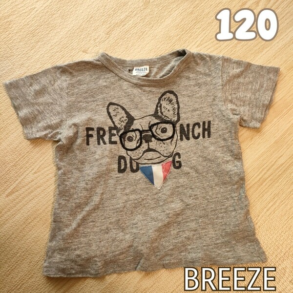 120 Breeze フレンチブルの半袖Tシャツ トップス　グレー　ヴィンテージ　犬