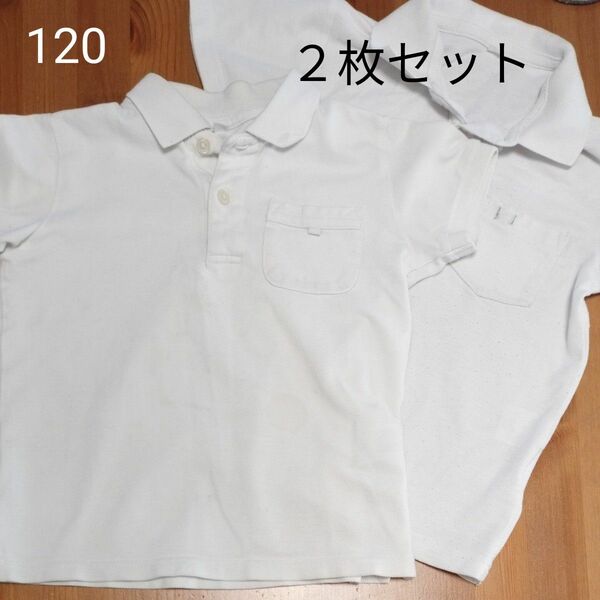 半袖ポロシャツ2枚セット120