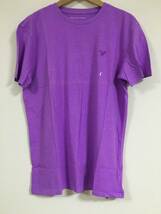 セール! 正規品 本物 新品 アメリカンイーグル Tシャツ 着心地抜群 綿100% AMERICAN EAGLE オシャレ ブライト バイオレット 紫 L ( XL_画像1