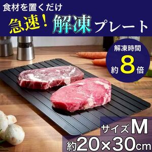 急速 解凍プレート 解凍皿 自然解凍 お肉 魚 M 粗熱 時短 エコ 冷凍 冷却 節約 