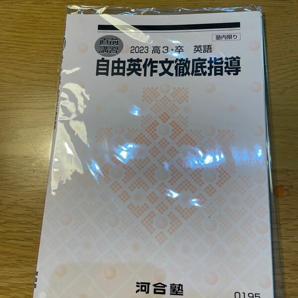 河合塾　自由英作文徹底指導　直前講習テキスト　英語　大学受験　未使用