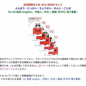 日本語総まとめ N2 E-BOOKセット ぶんぽう・どっかい・ちょうかい・かんじ・ごとば