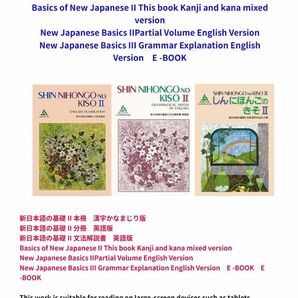 新日本語の基礎II SHIN NIHONGO II 