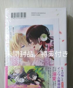 私を召喚した〈無駄に美形な〉イジワル魔導師に、いつのまにか溺愛されているのですが！？　新品／未開封