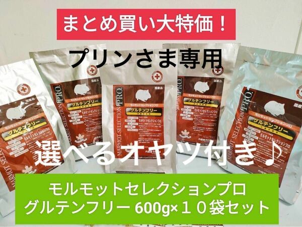 【専用】モルモットセレクションプログルテンフリー600g×１０袋セット、ヘルシートリーツ追加あり　選べるオヤツ付き♪