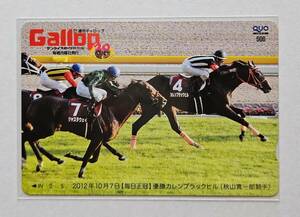 Gallop. pre QUO card [ every day ..] Curren black Hill 