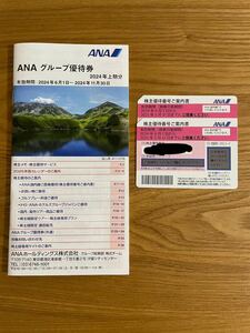 ANA グループ優待券一冊 株主優待 ピンク2枚