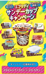 ■□7個購入 森永 サンデーカップ エブリディキャンペーン QUOカード20000円分 レシート 懸賞・応募7月31日□■