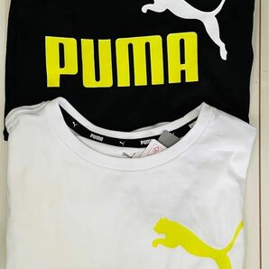 PUMA プーマ　Tシャツ2枚セット　140cm 新品　未使用