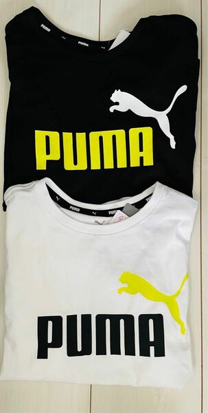 PUMA プーマ　Tシャツ2枚セット　140cm 新品　未使用