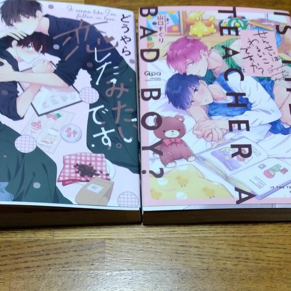 どうやら恋したみたいです。／せんせいはわるいこ、ですか?　山口すぐり