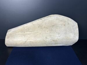 [A218] 4.8kg マッコウクジラ骨 鯨骨 クジラ 鯨の骨