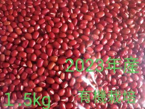 小豆　乾燥小豆　長野県産小豆　１.5kg　2023年産　有機栽培　新豆